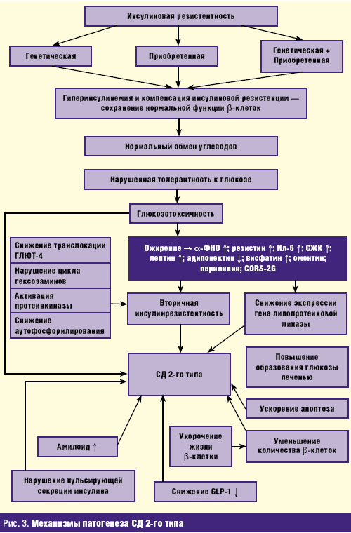 Патогенез сахарного диабета 2 типа схема